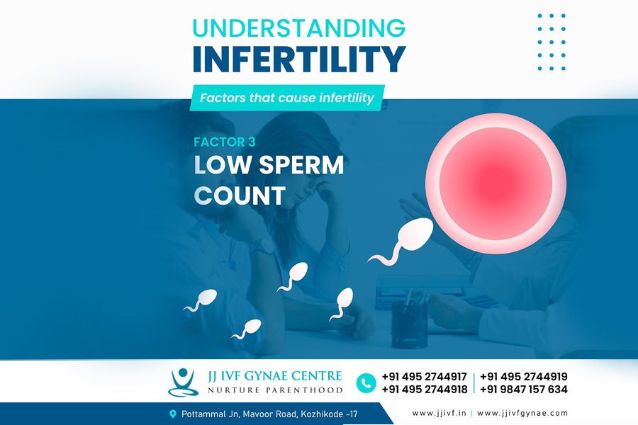 Understanding Infertility