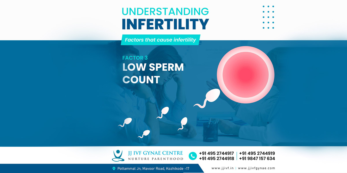 Understanding Infertility